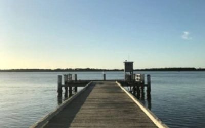 Artykuł nr 4 – testowy czy działa